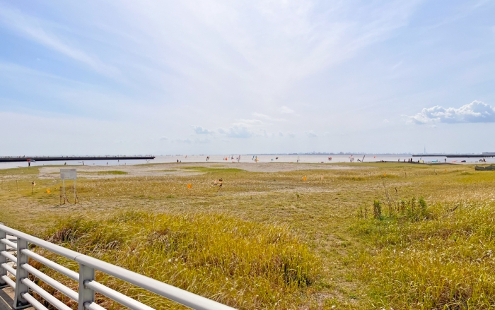 chiba kemigawahama03